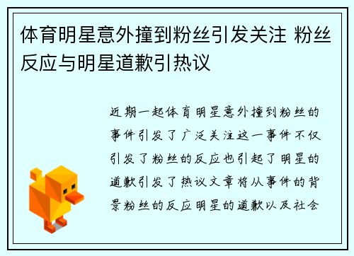体育明星意外撞到粉丝引发关注 粉丝反应与明星道歉引热议