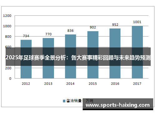 2025年足球赛季全景分析：各大赛事精彩回顾与未来趋势预测
